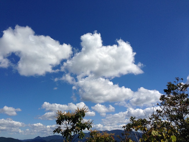 鹿好家の仲間たち